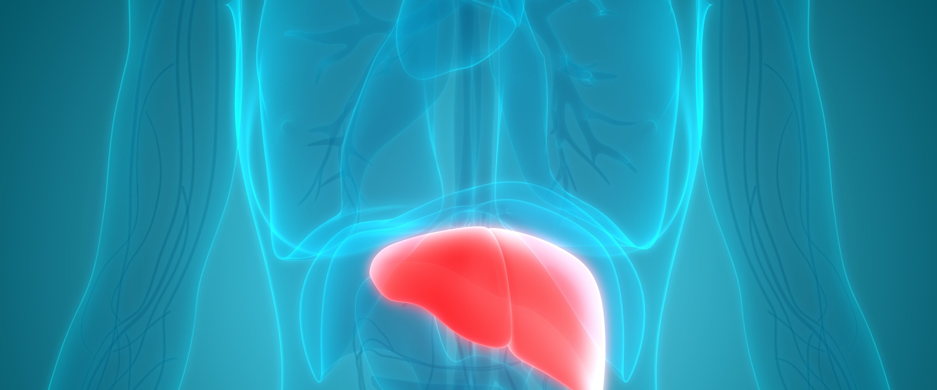 can-a-low-carb-diet-improve-liver-function-in-people-with-fatty-liver